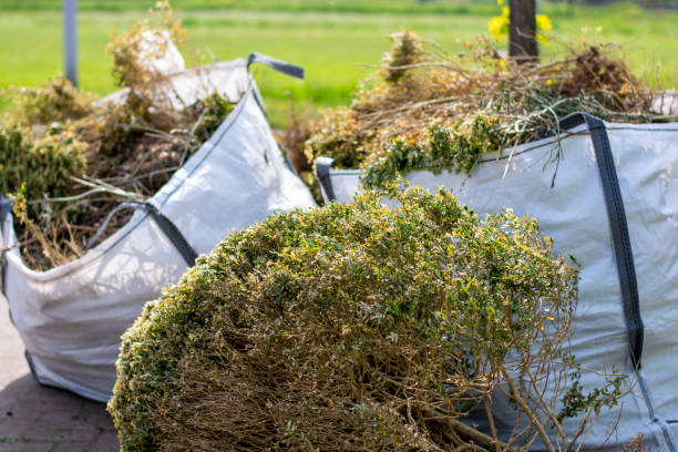 Best Shed Removal  in Northbrook, OH